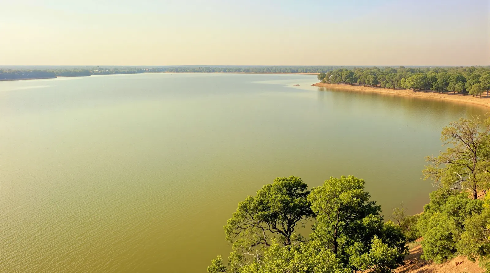 A wide, open expanse of pale green-tan water on Lake Texoma seen from a wooded natural shoreline of post oak and cedar, with a distant flat tree-lined far shore under a hazy summer sky.