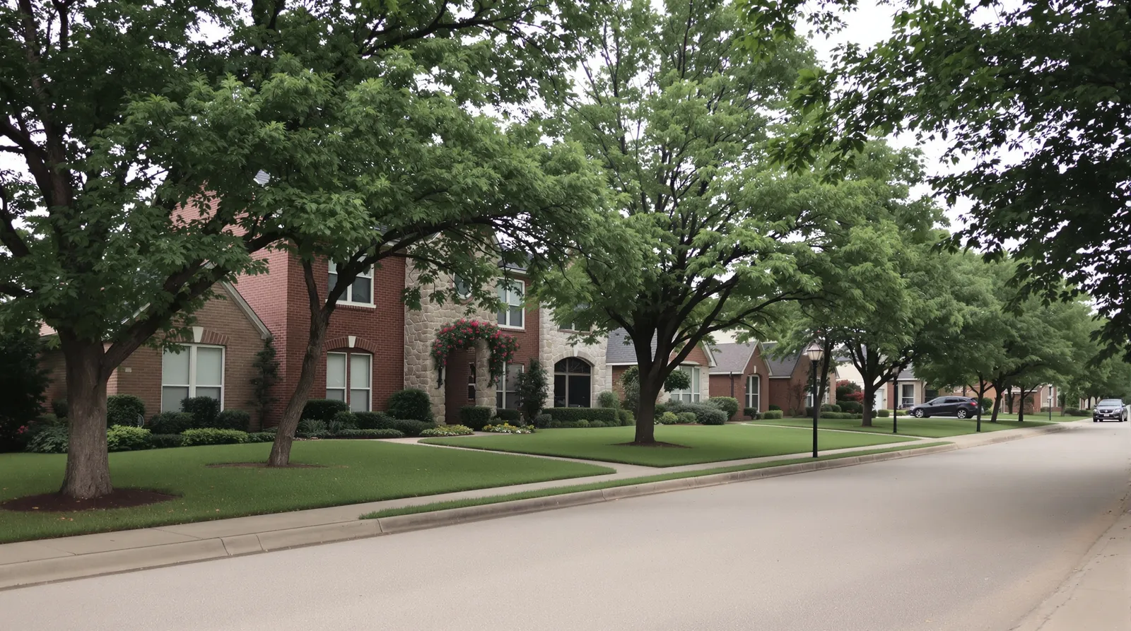 An established North Texas suburban residential street on an overcast morning, a row of well-kept two-story brick and stone homes with neat lawns and mature shade trees arching over the street.