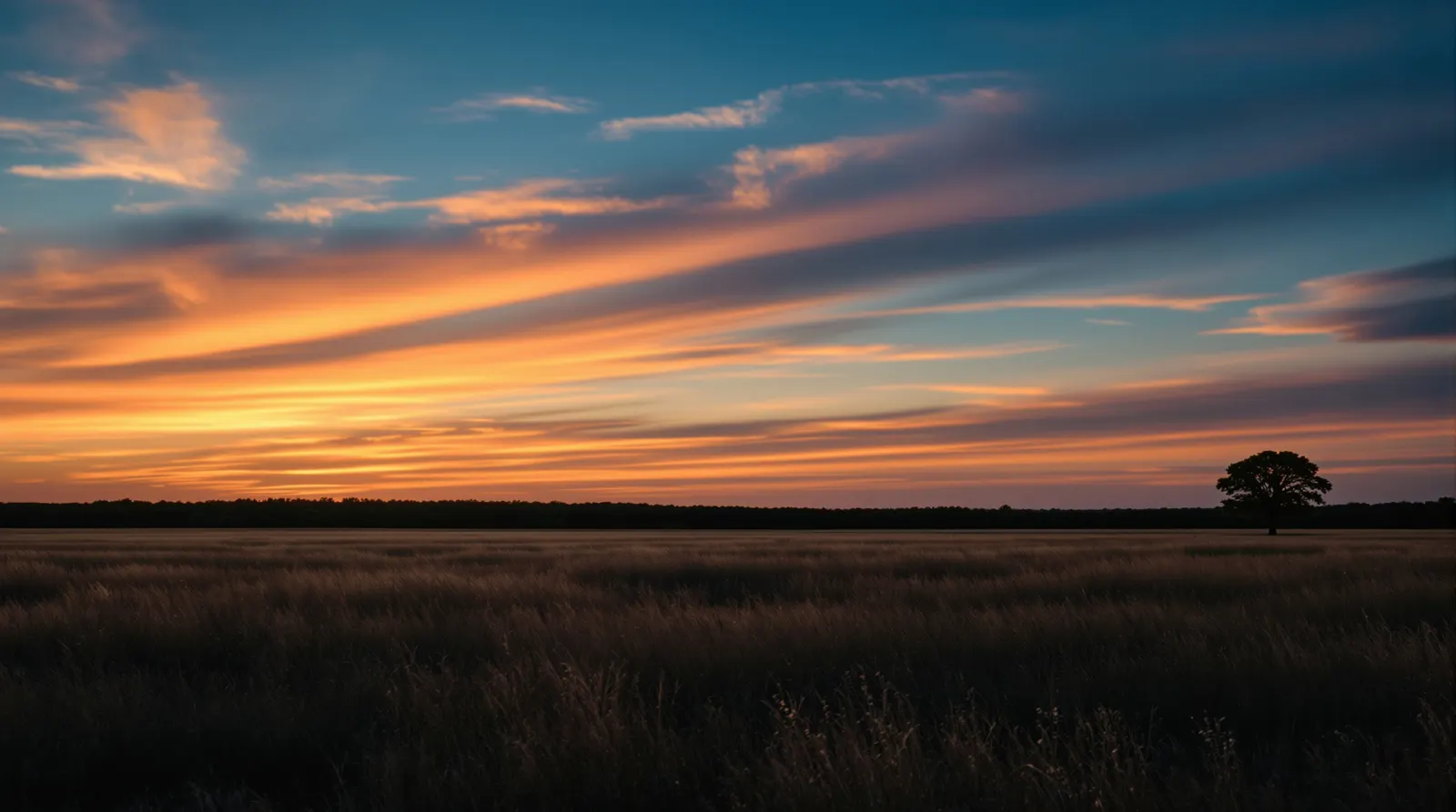 Grayson County prairie at dusk, the last light low across open grass and a distant tree line.