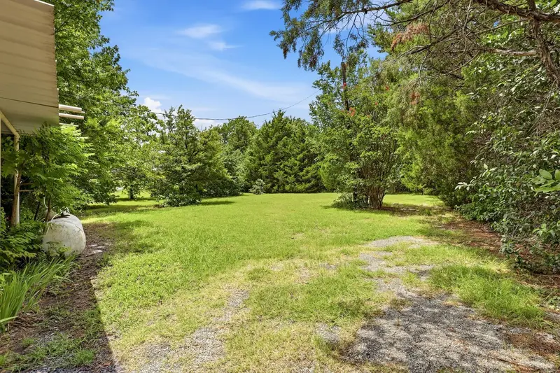 Large grassy backyard edged by mature trees and cedars